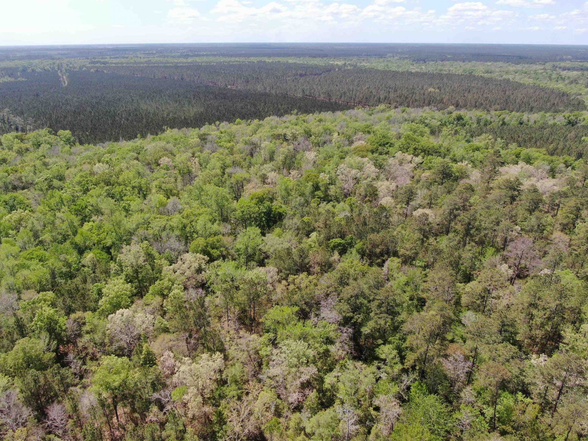 Tbd Georgetown Hwy. Photo 12