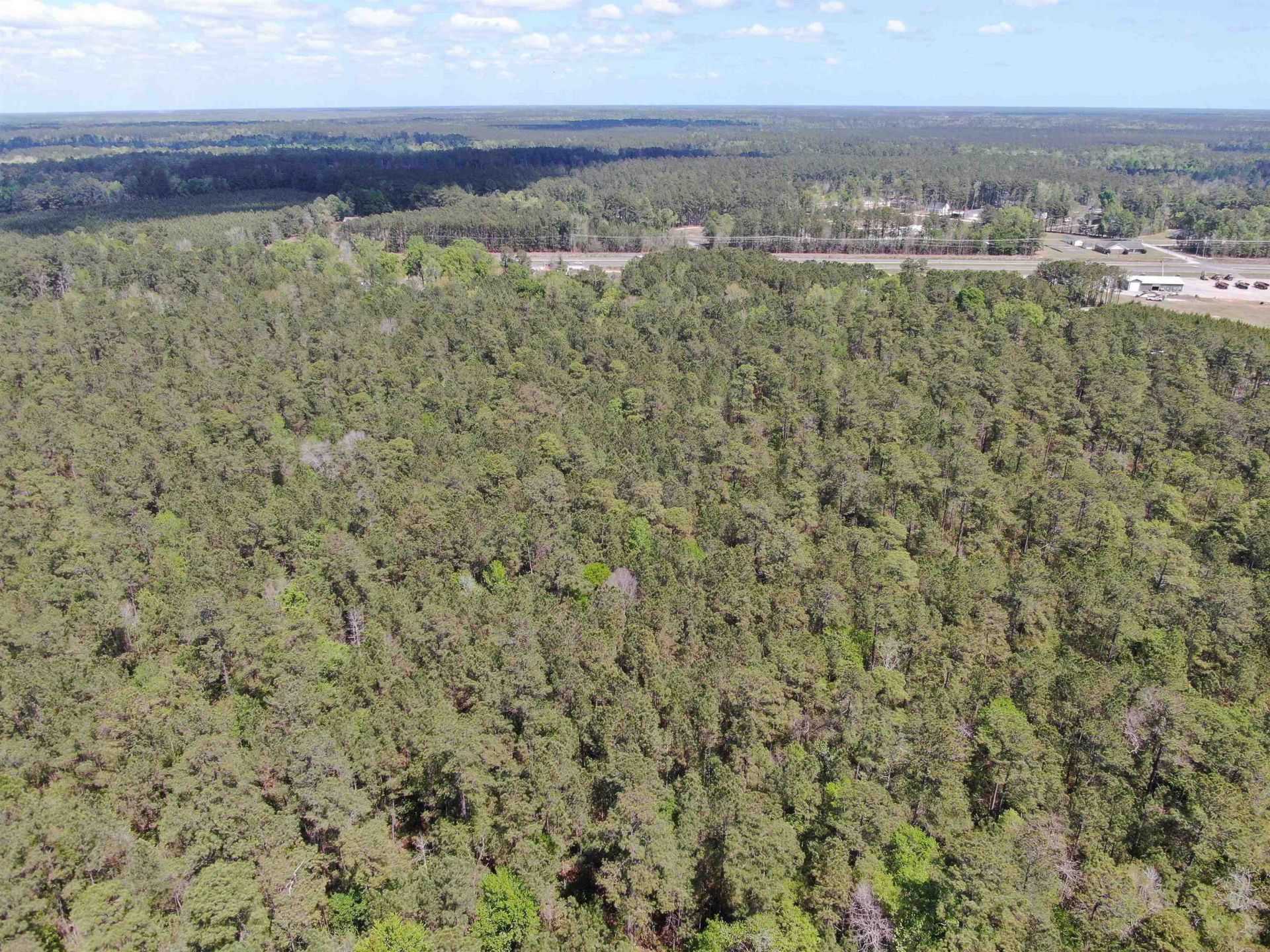 Tbd Georgetown Hwy. Photo 13