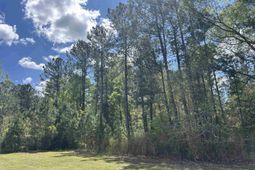 Tbd Georgetown Hwy. photo 4