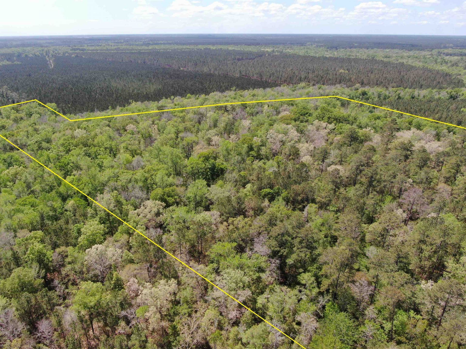 Tbd Georgetown Hwy. Photo 4