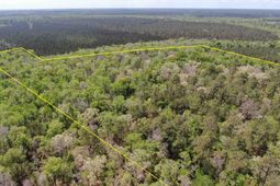 Tbd Georgetown Hwy. photo 4