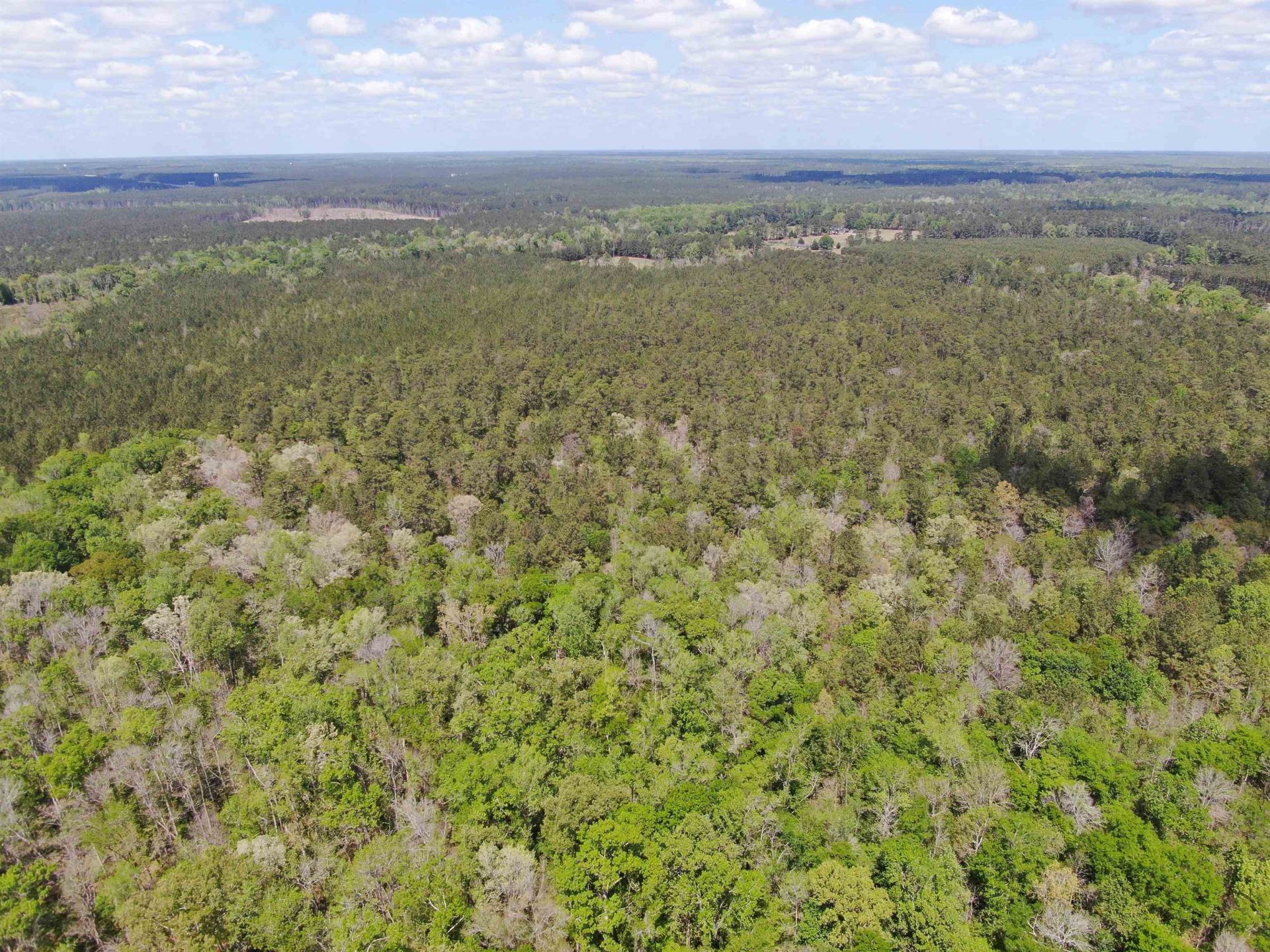 Tbd Georgetown Hwy. Photo 5