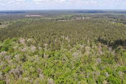 Tbd Georgetown Hwy. photo 4