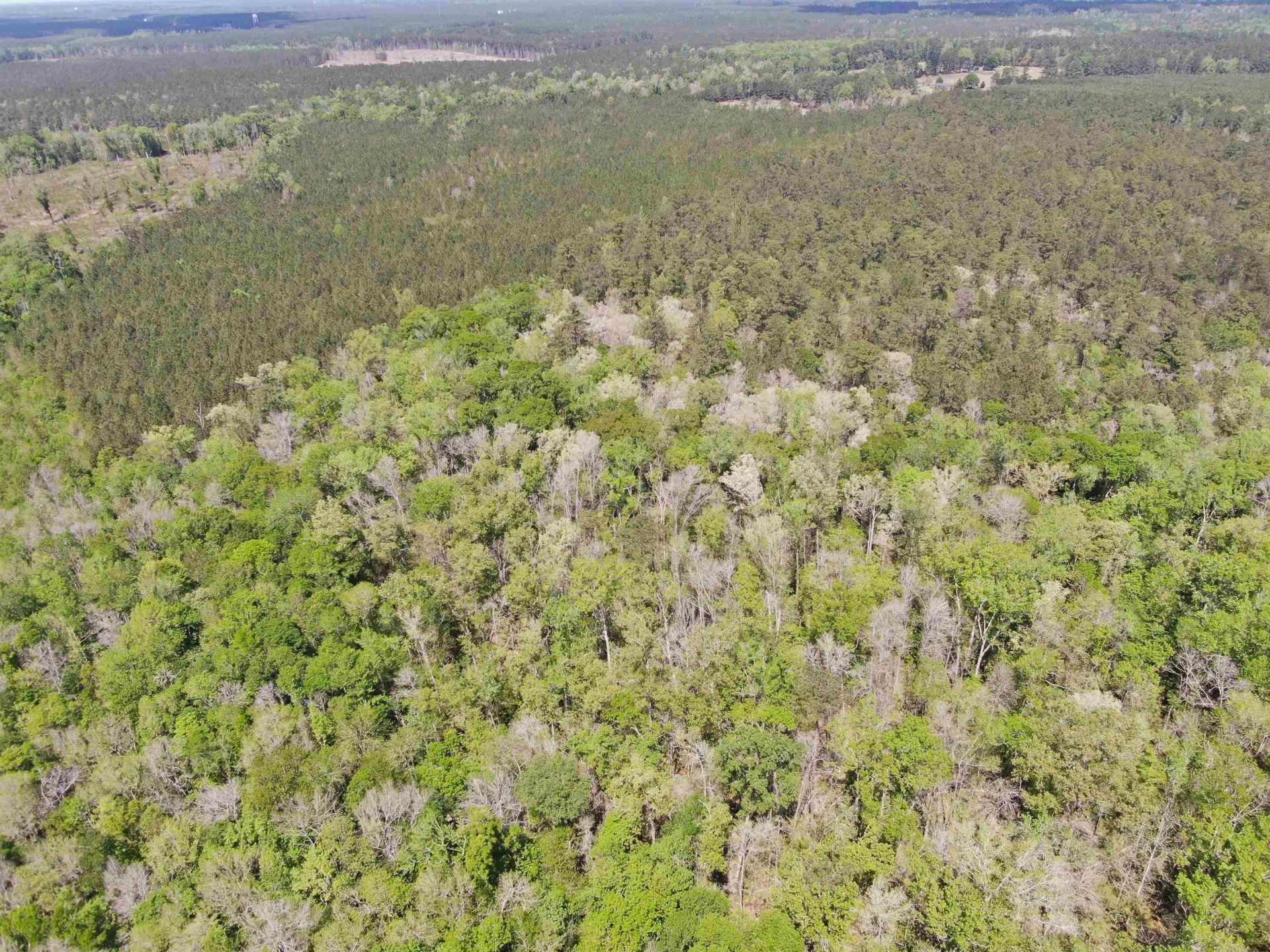 Tbd Georgetown Hwy. Photo 6