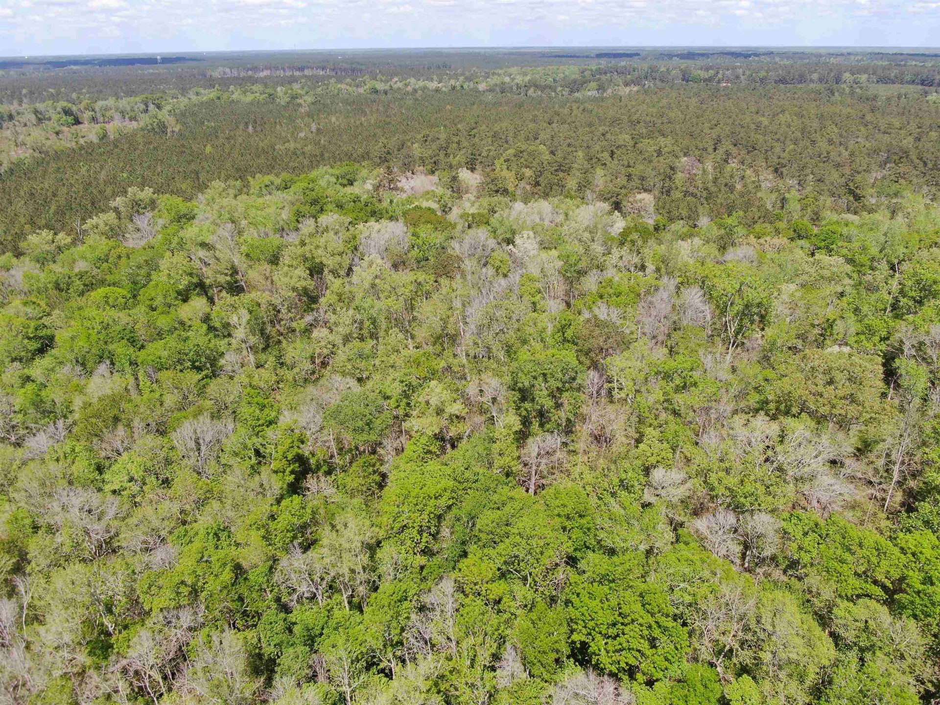 Tbd Georgetown Hwy. Photo 7