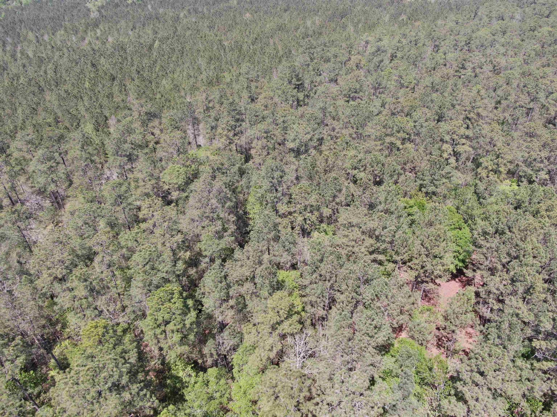 Tbd Georgetown Hwy. Photo 8