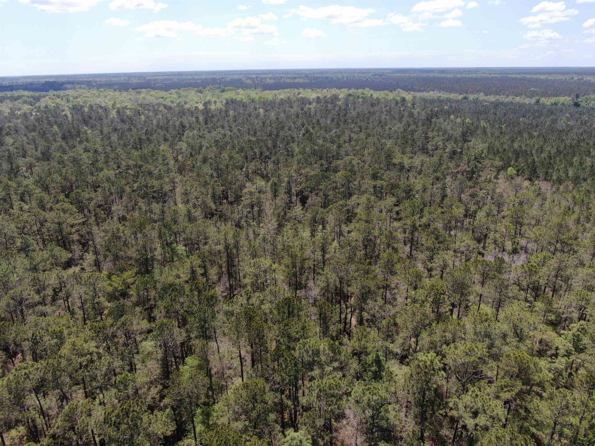 Tbd Georgetown Hwy. Photo 9