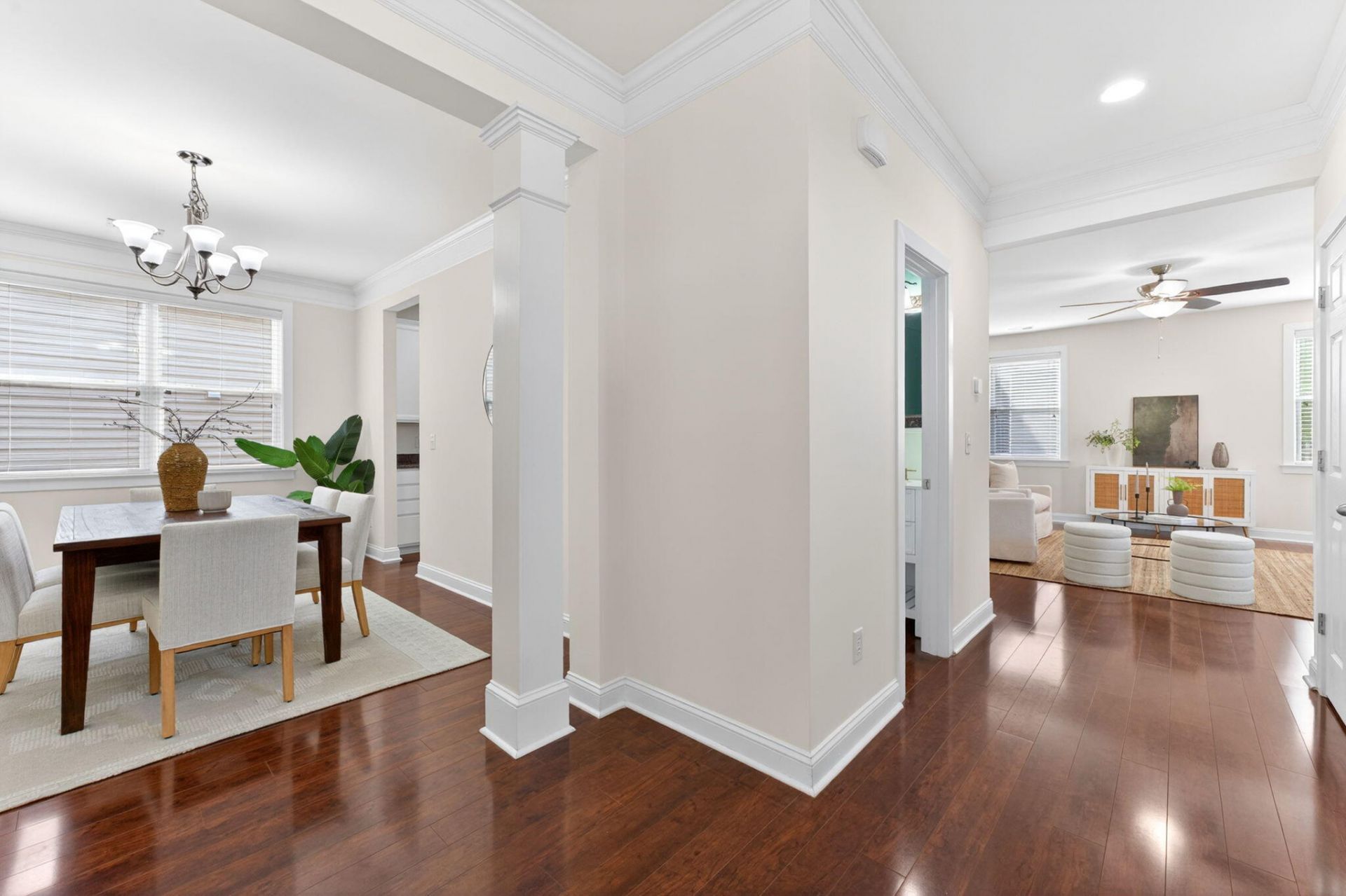 3030 Scuba Drive Photo 7