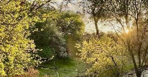 11030 Amador Creek Rd, Amador City, CA 95601 Photo