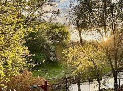 11030 Amador Creek Rd, Amador City, CA 95601 Photo