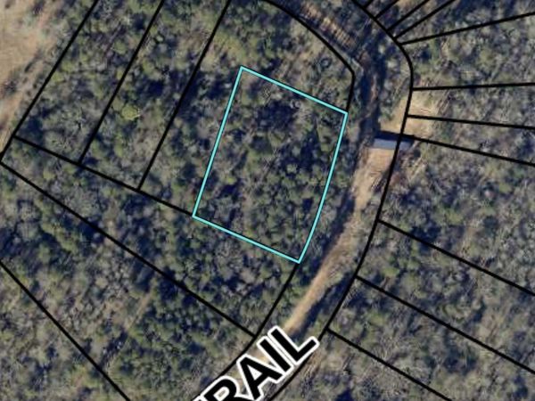 0 Morris Trail LOT 1, Carnesville, GA 30521