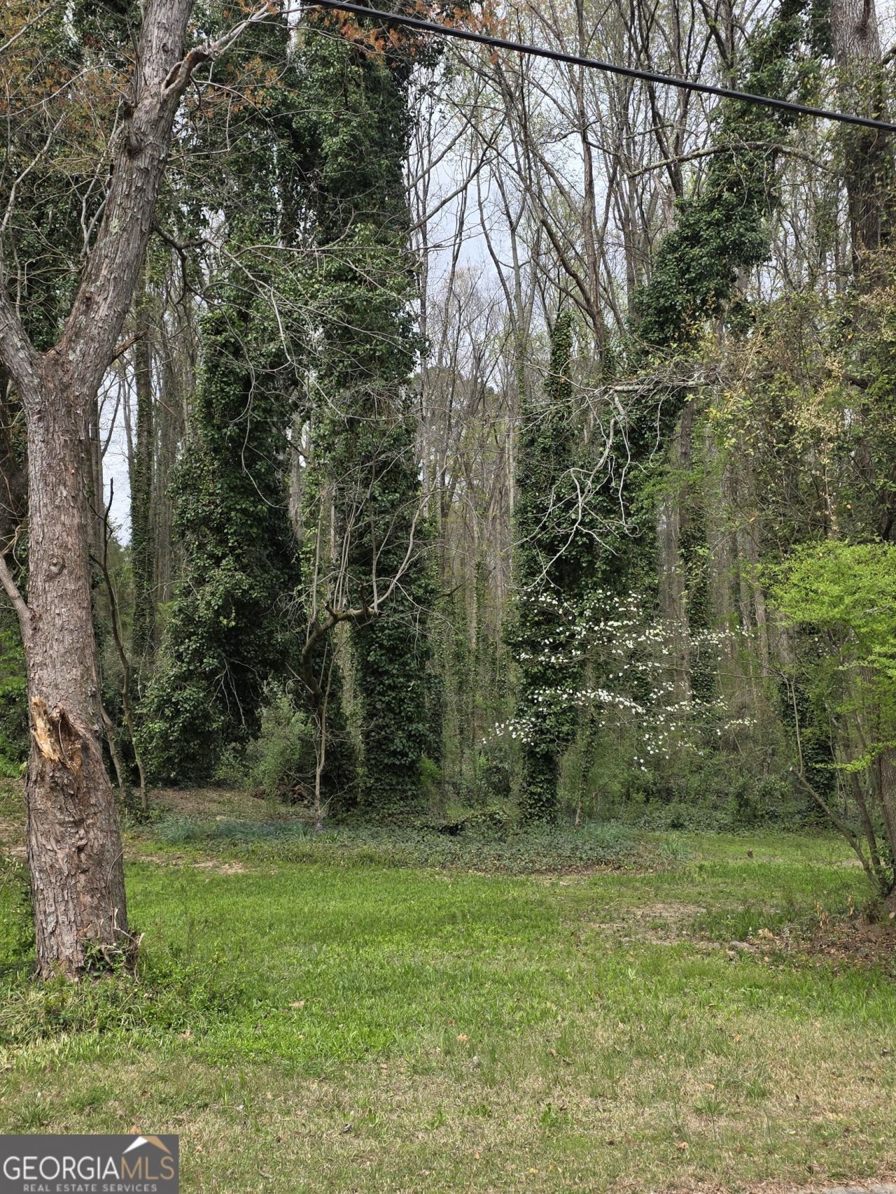 109 Creek Hollow Drive, Woodstock, GA 30188 Main Photo