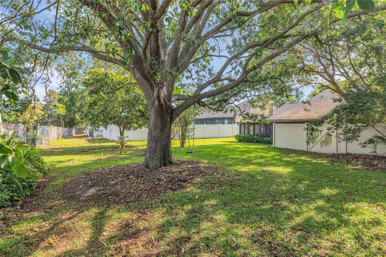 8424 Tangelo Tree Drive , Orlando, FL 32836 Photo