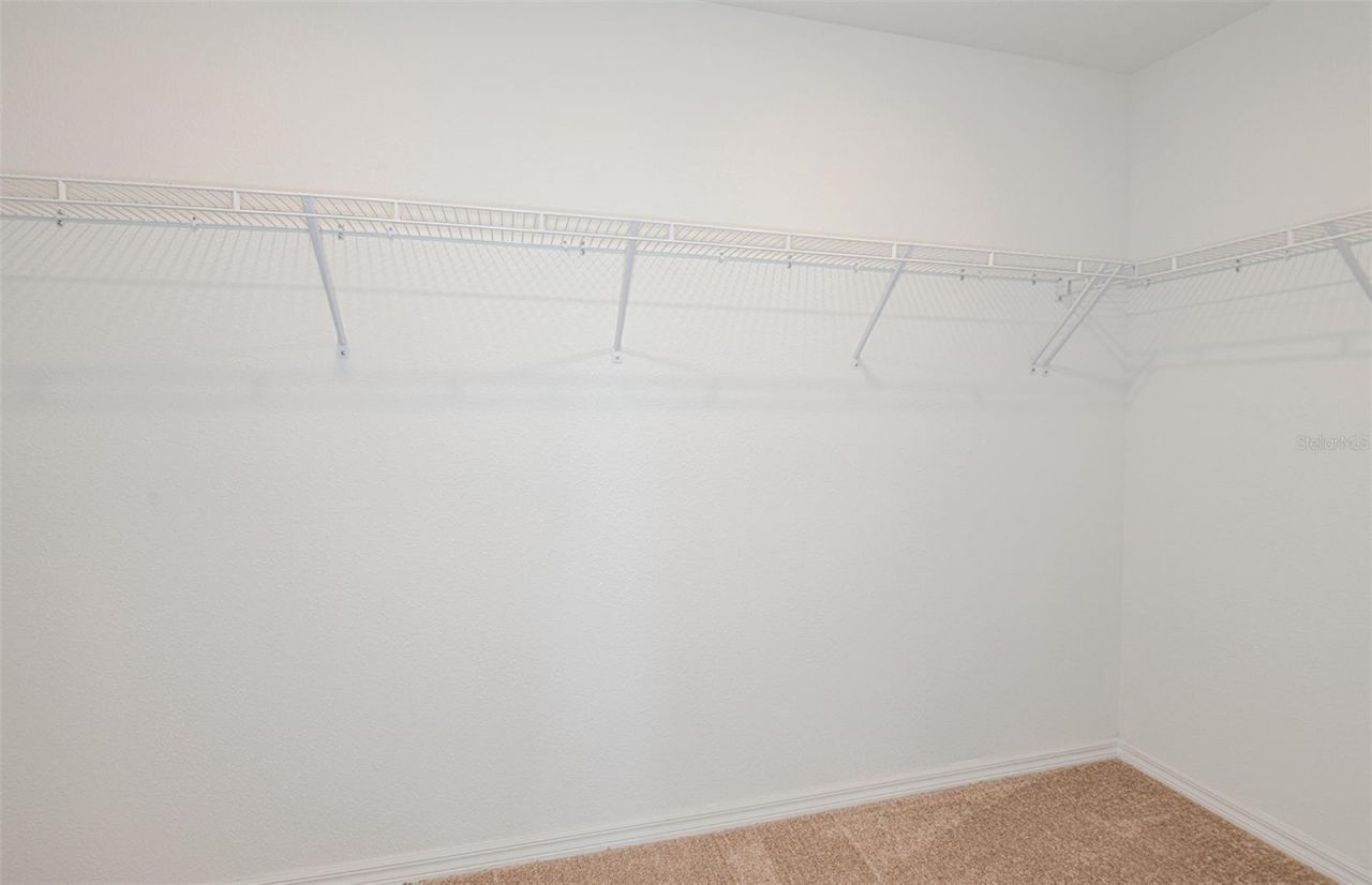 9877 Trellis Vine Way , Parrish, FL 34219 Photo