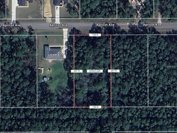 APRICOT AVENUE , EUSTIS, FL 32736