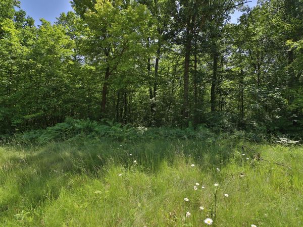 Tract D Olander Road , Crosby, MN 56441