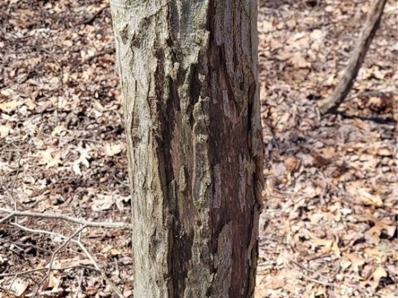 Township Road 34, Killbuck, OH 44637 Photo 24