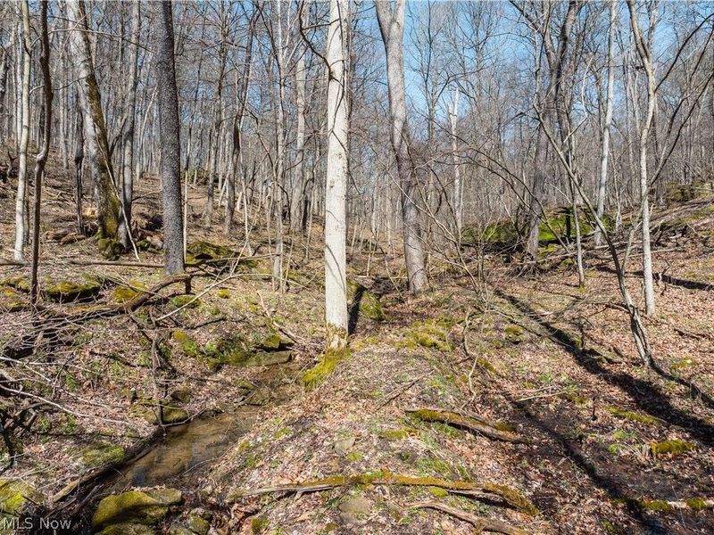 Township Road 34, Killbuck, OH 44637 Photo 3