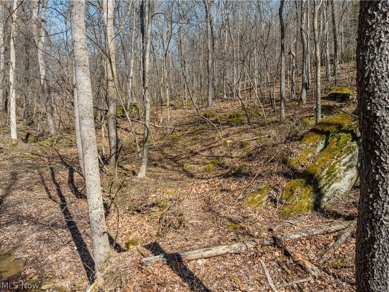 Township Road 34, Killbuck, OH 44637 Photo 4