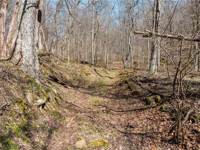 Township Road 34, Killbuck, OH 44637 Photo 5