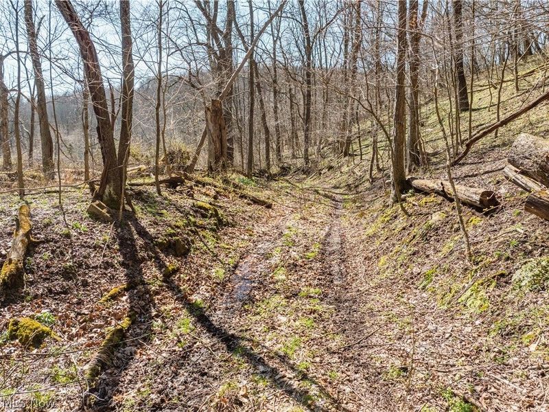 Township Road 34, Killbuck, OH 44637 Photo 6