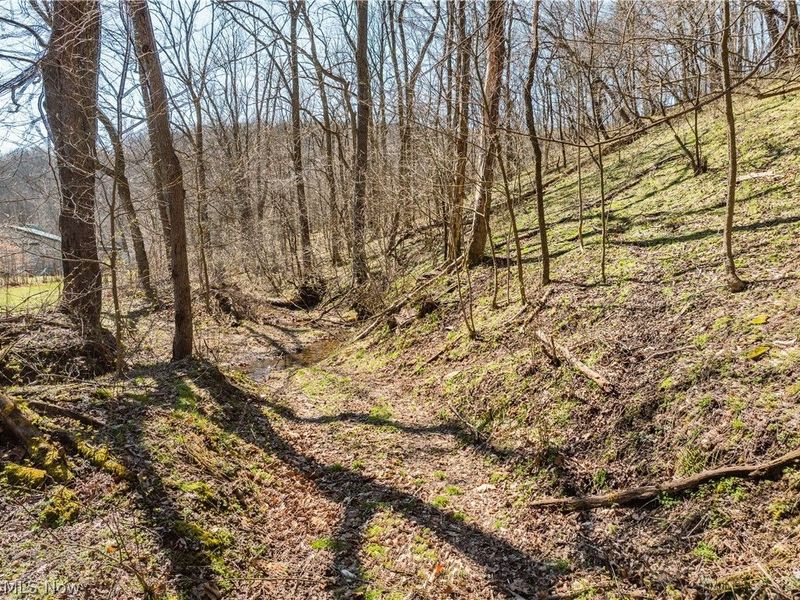 Township Road 34, Killbuck, OH 44637 Photo 7