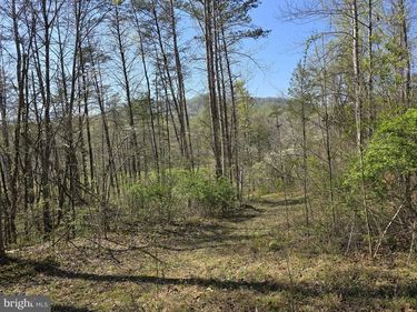 LOT 1 S FT VALLEY RD, MADISON, VA 22727