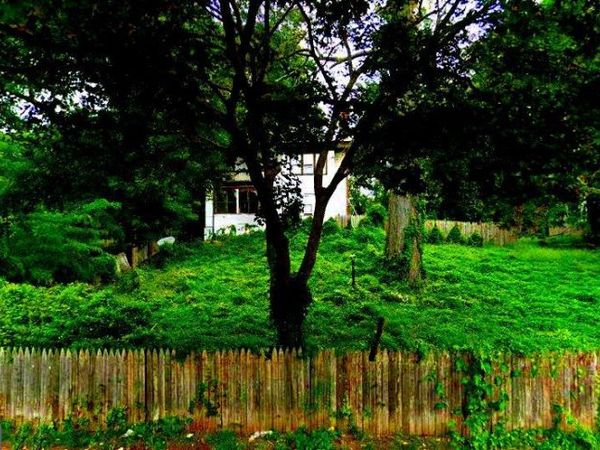 826 EDGEWOOD AVENUE, TRENTON, NJ 08618