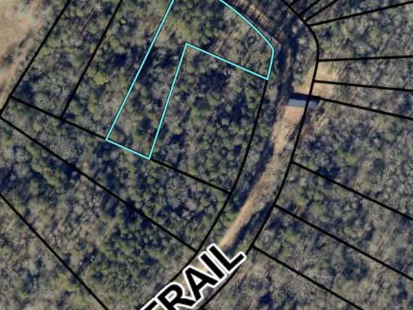0 Morris Trail LOT 2, Carnesville, GA 30521