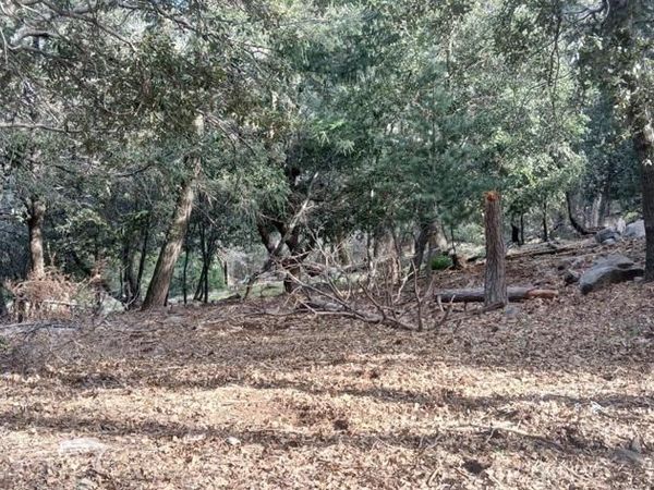 0 Alder Creek Road, Crestline, CA 92325