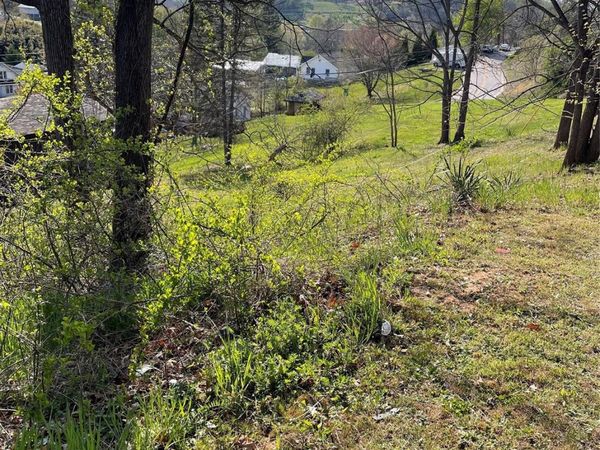 00 Locust Street , Canton, NC 28716