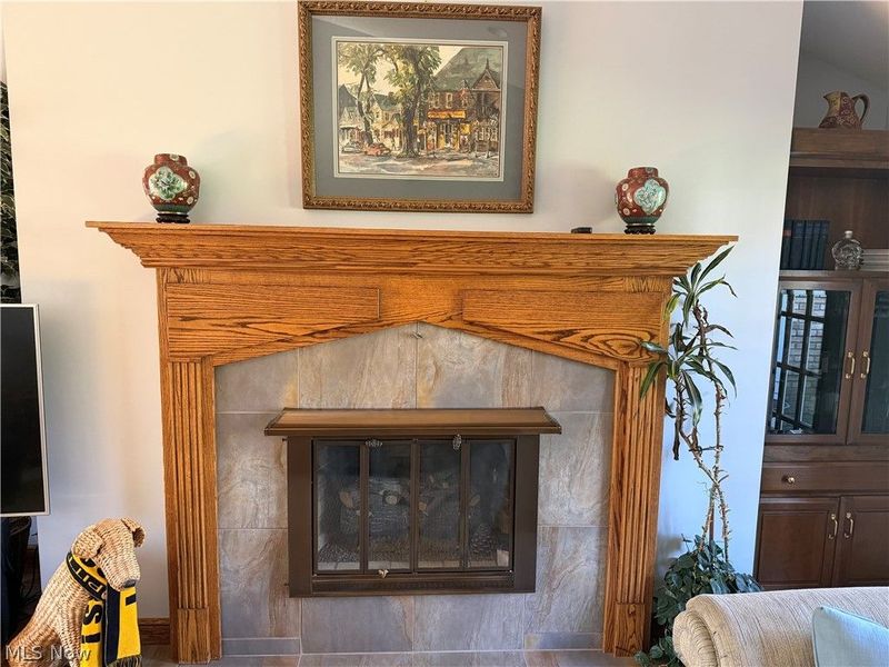 1135 Forsyth Place, East Liverpool, OH 43920 Photo 8