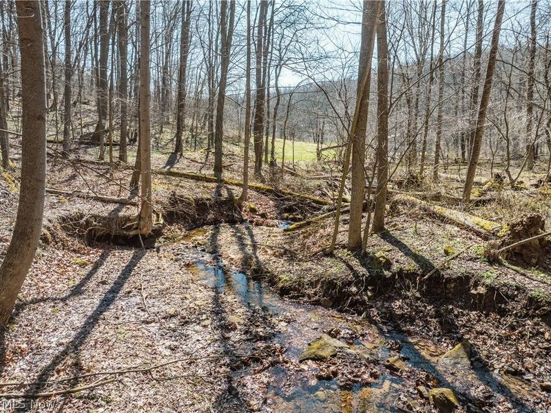 2255 Township Road 34, Killbuck, OH 44637 Photo 24