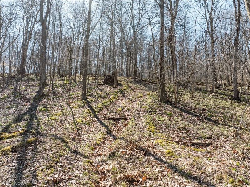 2255 Township Road 34, Killbuck, OH 44637 Photo 34