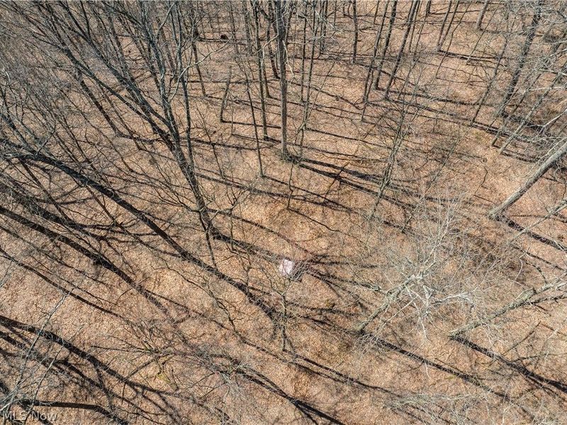 2255 Township Road 34, Killbuck, OH 44637 Photo 37