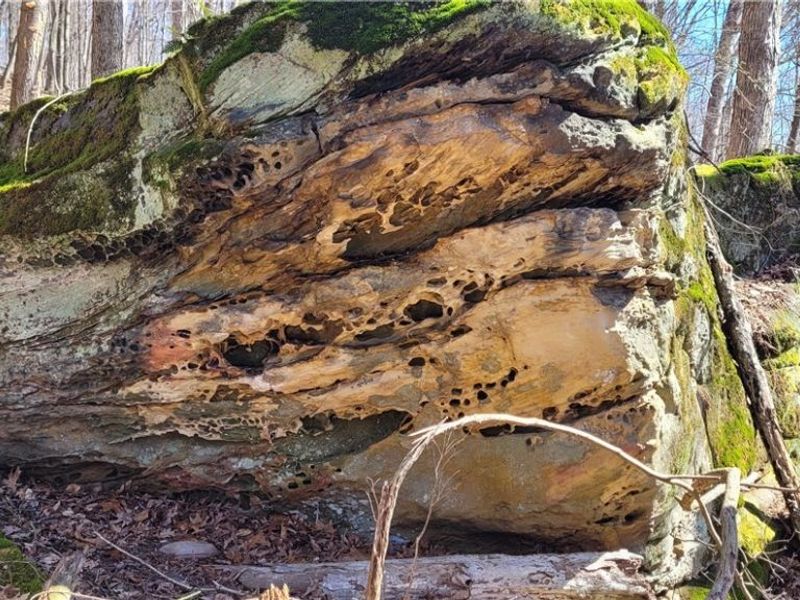 2255 Township Road 34, Killbuck, OH 44637 Photo 44