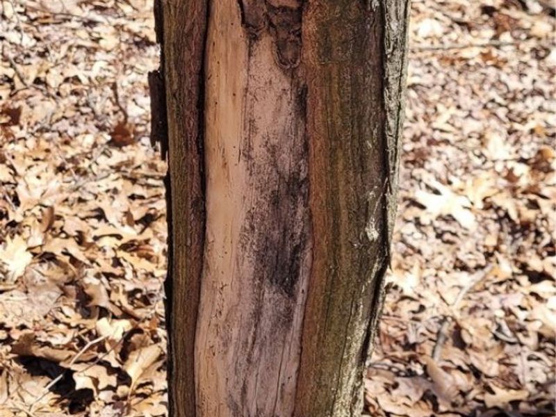 2255 Township Road 34, Killbuck, OH 44637 Photo 46