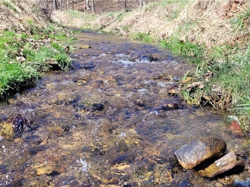 Township Road 34, Killbuck, OH 44637 Photo 18