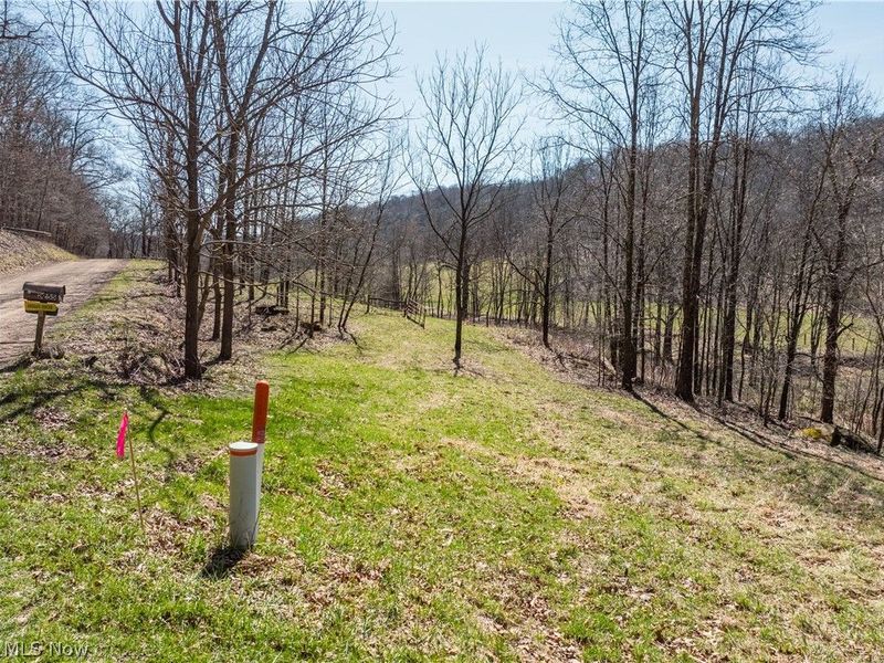 Township Road 34, Killbuck, OH 44637 Photo 2