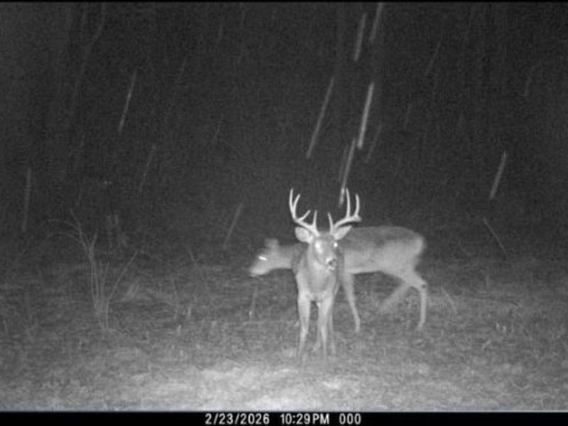 Township Road 34, Killbuck, OH 44637 Photo 20