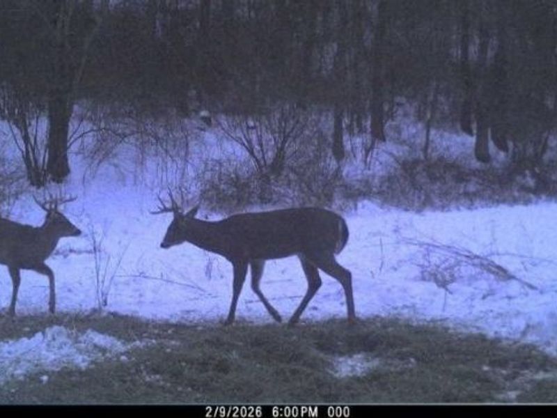 Township Road 34, Killbuck, OH 44637 Photo 28