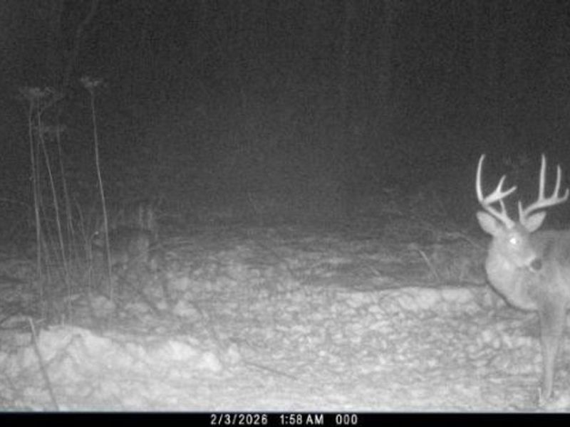 Township Road 34, Killbuck, OH 44637 Photo 32