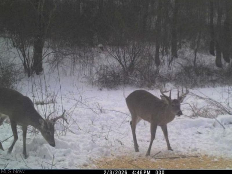 Township Road 34, Killbuck, OH 44637 Photo 33