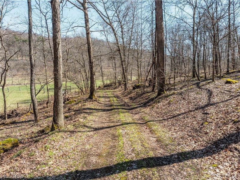 Township Road 34, Killbuck, OH 44637 Photo 7