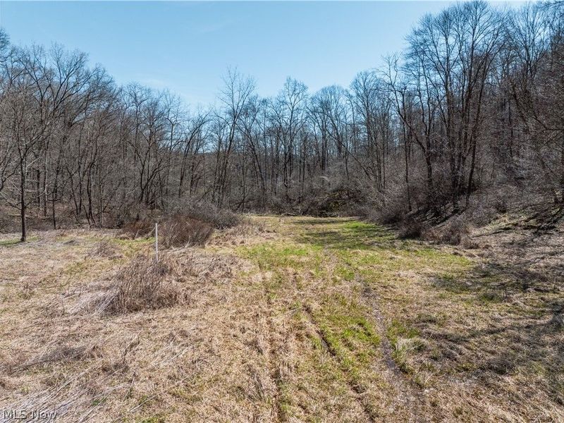 Township Road 34, Killbuck, OH 44637 Photo 11