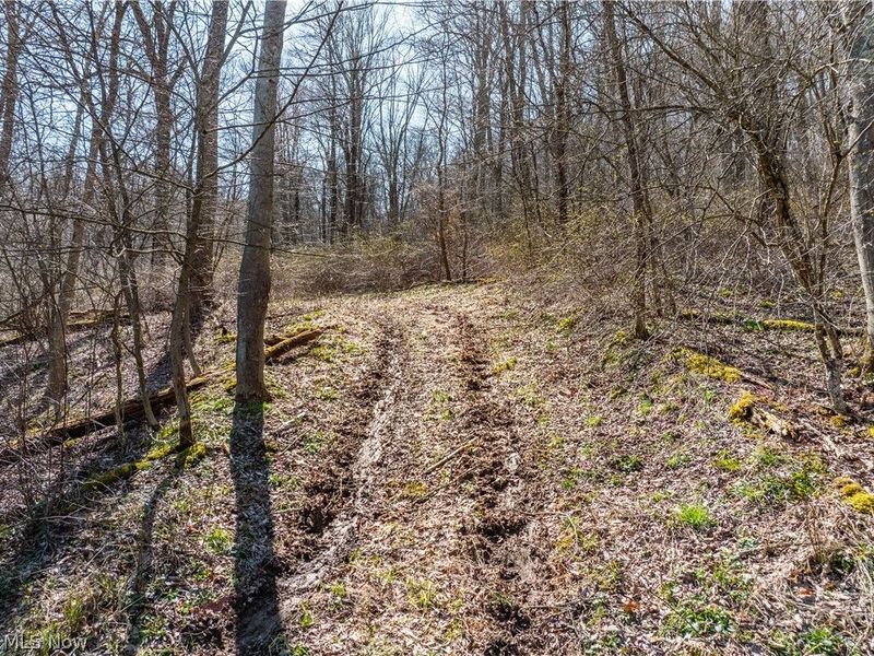 Township Road 34, Killbuck, OH 44637 Photo 14