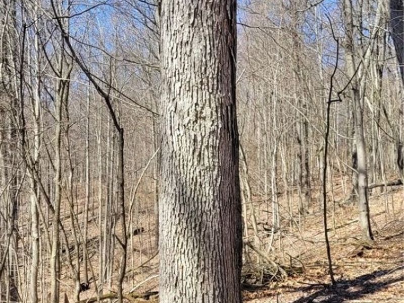 Township Road 34, Killbuck, OH 44637 Photo 19