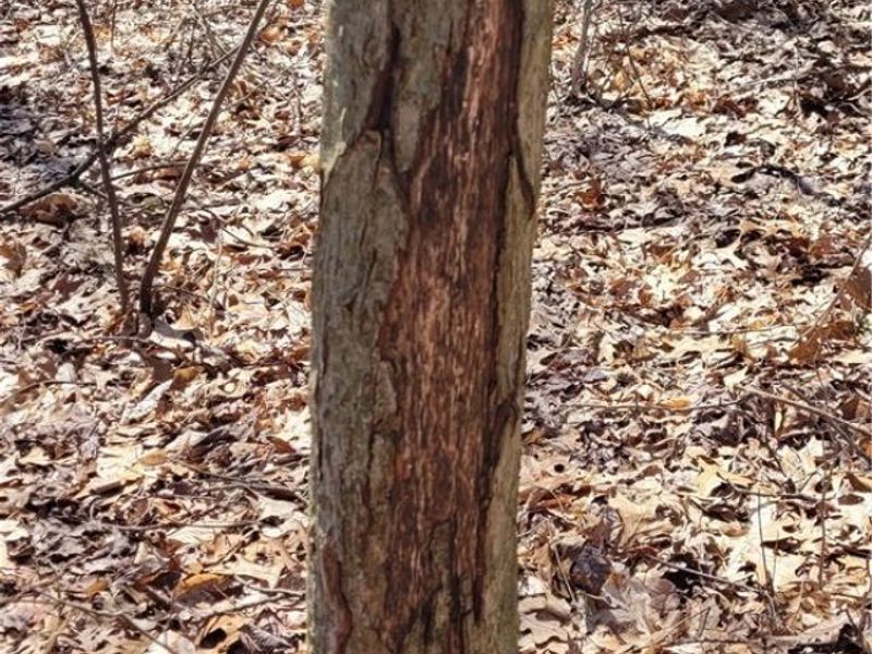 Township Road 34, Killbuck, OH 44637 Photo 21