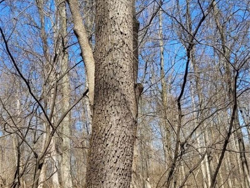 Township Road 34, Killbuck, OH 44637 Photo 22