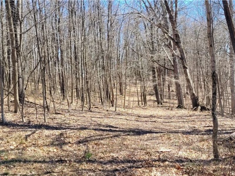 Township Road 34, Killbuck, OH 44637 Photo 23